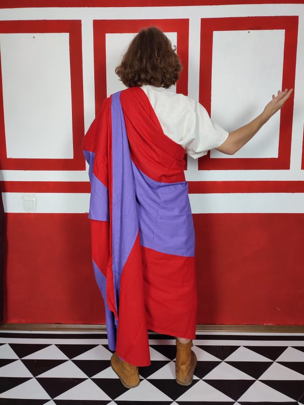 roman augur priest clothes